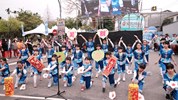 美群國小哈客歌謠社表演多首客家歌謠