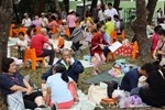 2025臺中市民野餐日DungShi Hakka Party,東勢區鄉親自備客家美食來野餐
