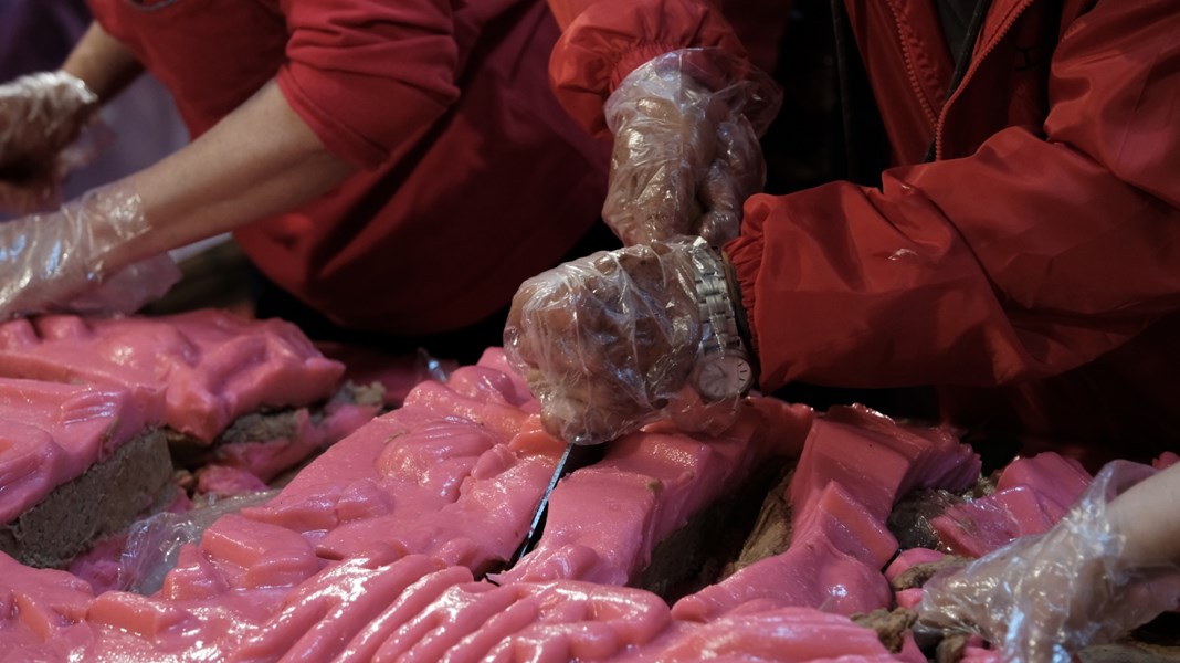 LINE_ALBUM_2026.2.27_260302_106