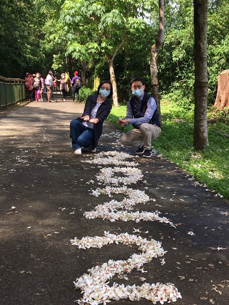 桐花祭活動照1